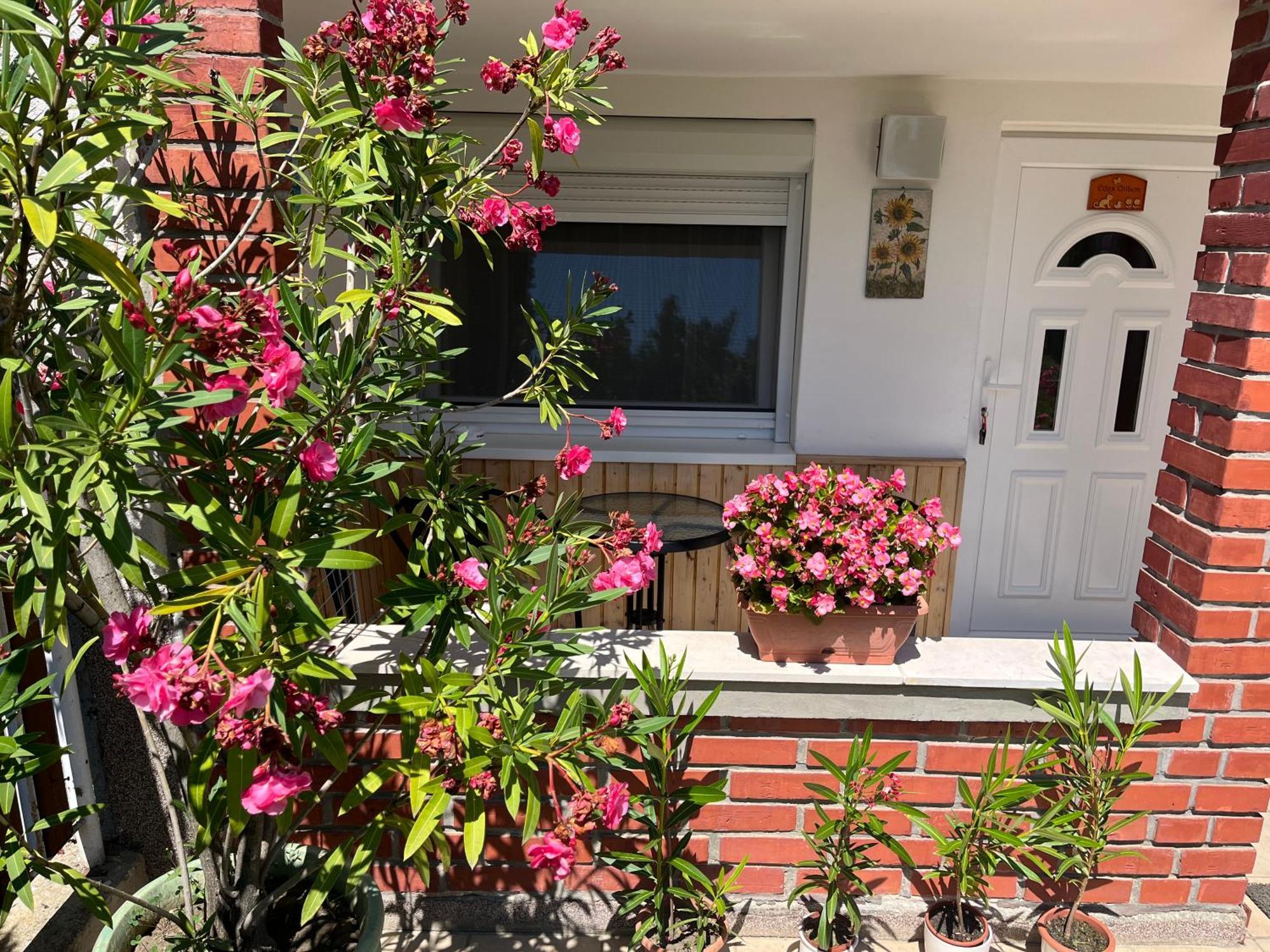 Edes Otthon Villa Balatonfured Ngoại thất bức ảnh